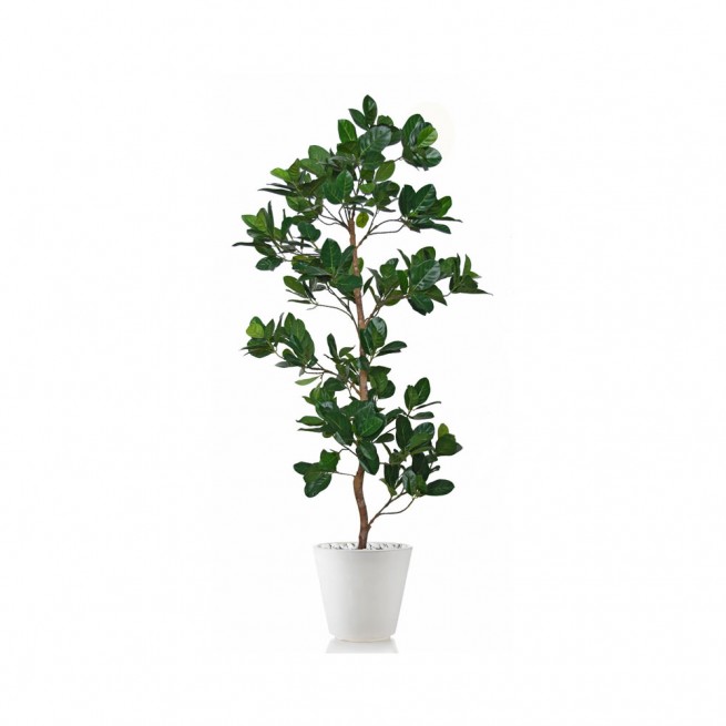 Planta semi-artificiala Ila, Jackfruit Tree Green - 180 cm